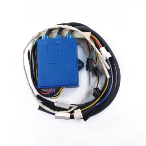 Caja electrónica, 3 cables p/terma con pantalla led, 02 solenoides